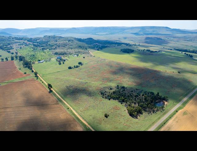 FARM FOR SALE IN HEIDELBERG AH